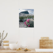 Poster États-Unis, Texas, Big Bend National Park. Florais (Cuisine)