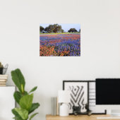 Poster États-Unis, Texas, Llano. Bluebonnets et redbonnet (Bureau à domicile)