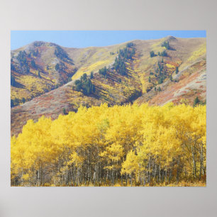 Poster États-Unis, Utah, Forêt nationale de Wasatch-Cache