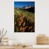 Poster États-Unis, Utah, Forêt nationale d'Uinta-Wasatch- (Cuisine)