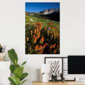 Poster États-Unis, Utah, Forêt nationale d'Uinta-Wasatch- (Bureau à domicile)