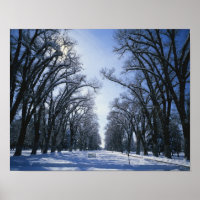 États-Unis, Utah, Salt Lake City, Liberty Park,