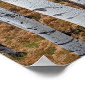 Poster États-Unis, Utah, Uinta-Wasatch-Cache National For (Coin)