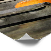 Poster États-Unis, Vermont. Citrouilles (Coin)