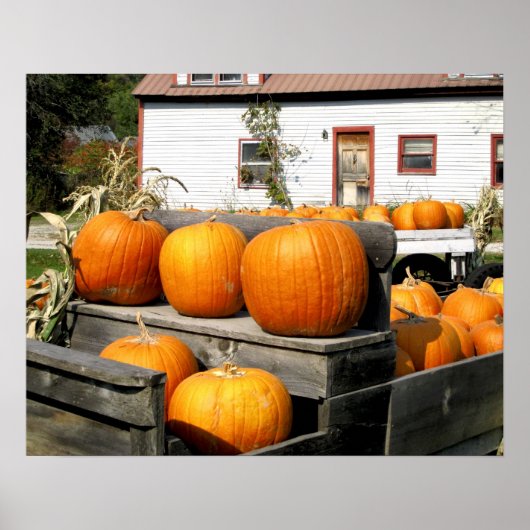 Poster États-Unis, Vermont. Citrouilles (Devant)