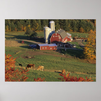 Poster États-Unis, Vermont, Pomfret. Red Barn et la chute