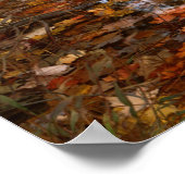 Poster États-Unis, Virginie, Automne Dans Douthat State P (Coin)