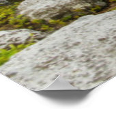 Poster États-Unis, Virginie occidentale, Davis. Landscape (Coin)