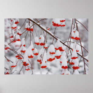 Poster États-Unis, Washington, comté de Spokane