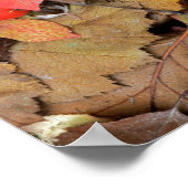 Poster États-Unis, Washington, comté de Spokane, feuilles (Coin)