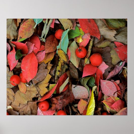 Poster États-Unis, Washington, comté de Spokane, feuilles (Devant)