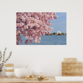 Poster États-Unis, Washington DC, Cherry tree (Cuisine)