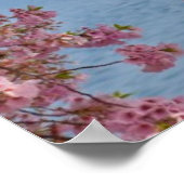 Poster États-Unis, Washington DC, Cherry tree (Coin)