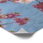 Poster États-Unis, Washington DC, Cherry tree (Coin)