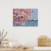 Poster États-Unis, Washington DC, Cherry tree (Cuisine)