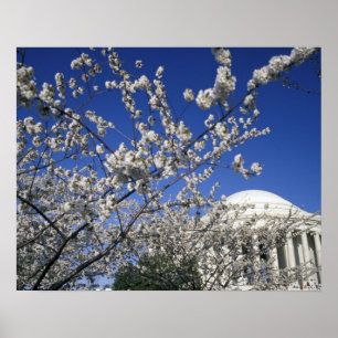 Poster États-Unis, Washington DC. Festival des fleurs de