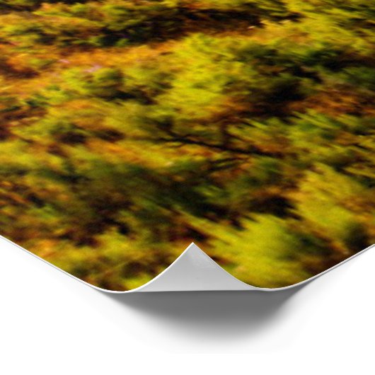 Poster États-Unis, Washington, Lac Chelan. Les vignobles (Coin)