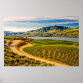 Poster États-Unis, Washington, Lac Chelan. Les vignobles (Devant)
