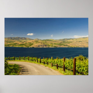 Poster États-Unis, Washington, Lac Chelan. Vignoble