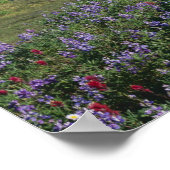 Poster États-Unis, Washington Mt. Adams Wilderness, Meado (Coin)