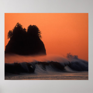 Poster États-Unis, Washington, Olympic National Park, Sea