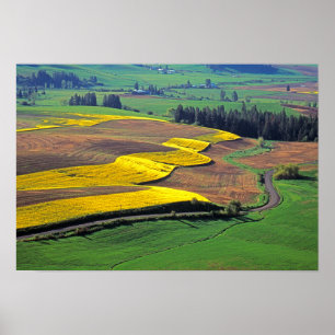 Poster États-Unis, Washington, Palouse, comté de Whitman