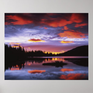 Poster États-Unis, Washington, Parc national du mont Rain
