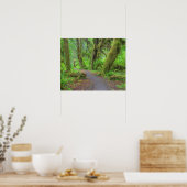 Poster États-Unis, Washington, Parc National Olympique, H (Cuisine)