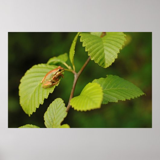Poster États-Unis, Washington, Seattle, Discovery Park (Devant)