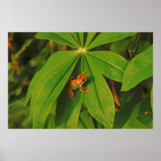 Poster États-Unis, Washington, Seattle, Discovery Park 2 (Devant)