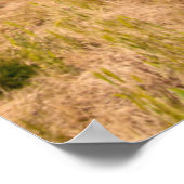 Poster États-Unis, Washington, Walla Walla. Cabernet Sauv (Coin)