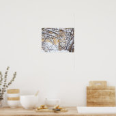 Poster États-Unis, Wyoming, Bobcat (Cuisine)