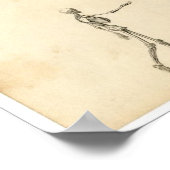 Poster Etching Zoologique Classique - Ancien Elc & Humain (Coin)