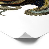 Poster Etching zoologique classique - Octopus (Coin)