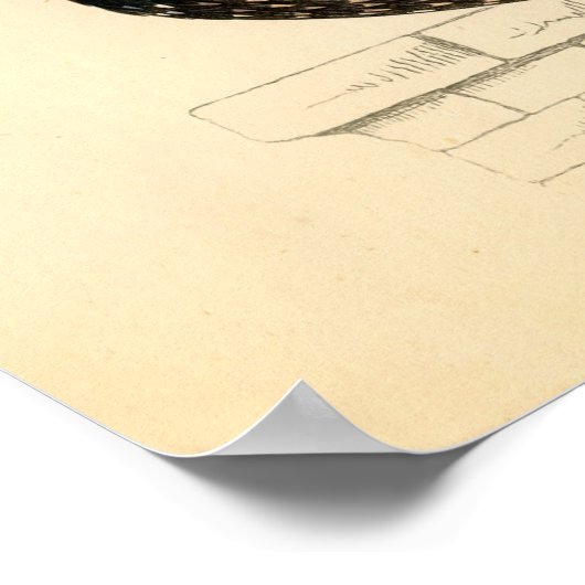 Poster Etching Zoologique Classique - Starling (Coin)