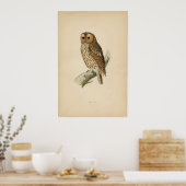 Poster Etching Zoologique Classique - Tawny Owl (Cuisine)
