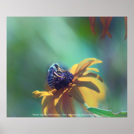 Poster Été (Devant)