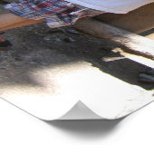 Poster été 07 192 (Coin)
