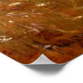 Poster Été 1909 (Coin)