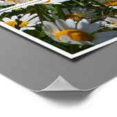 Poster Été 2006 (Coin)