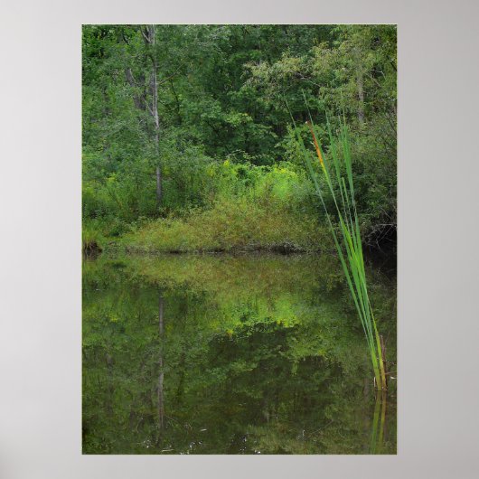 Poster Été à l'étang (Devant)