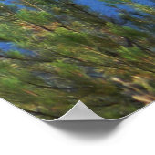 Poster Été au lac...... (Coin)