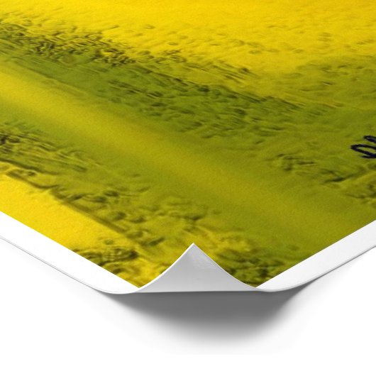 Poster Eté de pastèque (Coin)