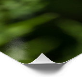 Poster Été doux (Coin)