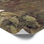 Poster Été doux par John William Waterhouse - 1912 (Coin)