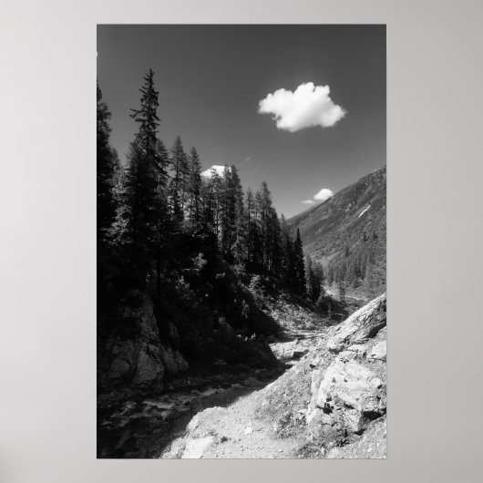 Poster Été en Suisse Photographie noir et blanc (Devant)