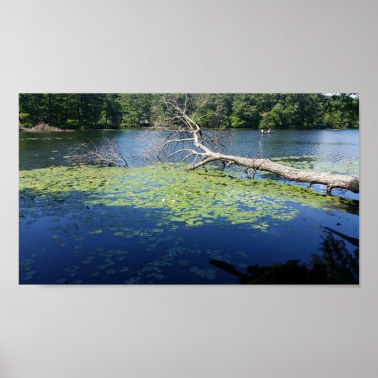 Poster été ensoleillé (Devant)