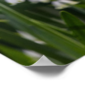 Poster Été Fleurs blanches de neige (Coin)