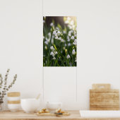 Poster Été Fleurs blanches de neige (Cuisine)