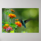 Poster Été Hummer (Devant)